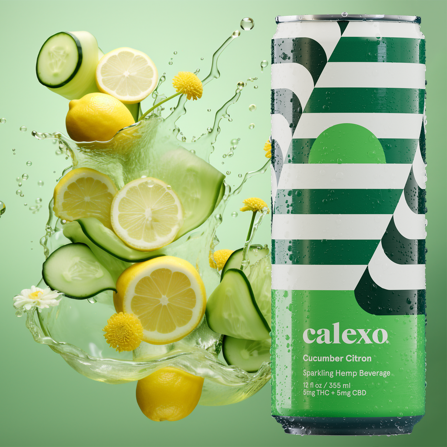 Calexo Variety Pack 12oz. 6pk - Sparkling Hemp Beverages
